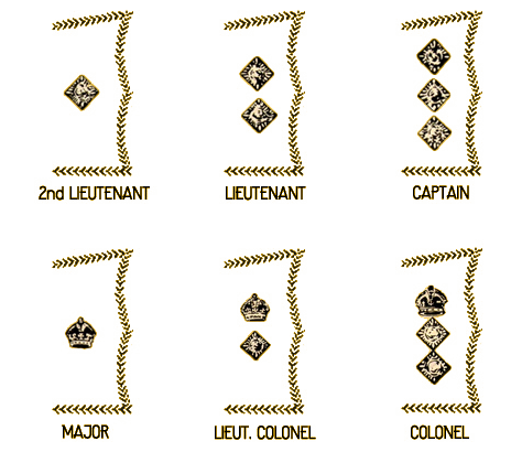 Image module